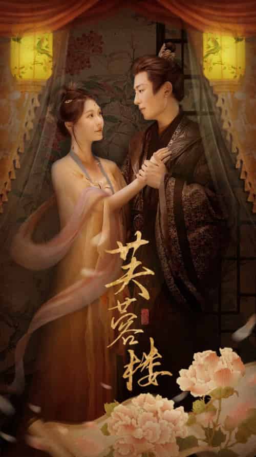芙蓉楼（50集全）郑晨雨＆星硕-紫橙资源网