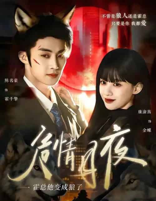 危情月夜:霍总他变成狼了(70集全)陈名豪&康渝茜-紫橙资源网