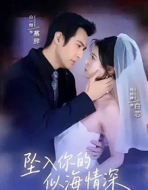 坠入你的似海情深（67集全）白一翔＆杨晓婷-紫橙资源网