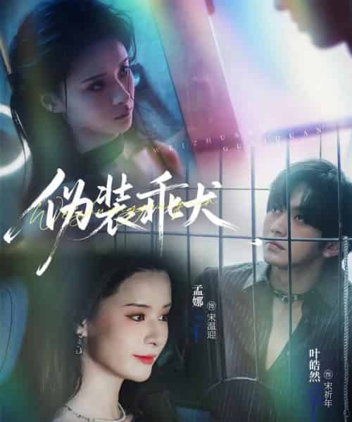 伪装乖犬(56集全)叶皓然&孟娜-紫橙资源网