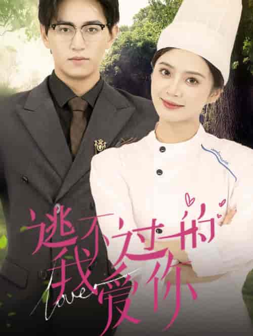 逃不过的我爱你（64集全）刘美娜-紫橙资源网