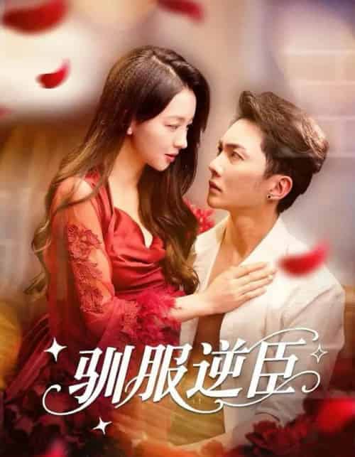 驯服逆臣（80集全）黄圣桀＆张婉悦-紫橙资源网