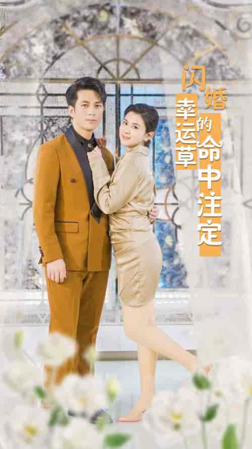 闪婚幸运草的命中注定（82集）-紫橙资源网
