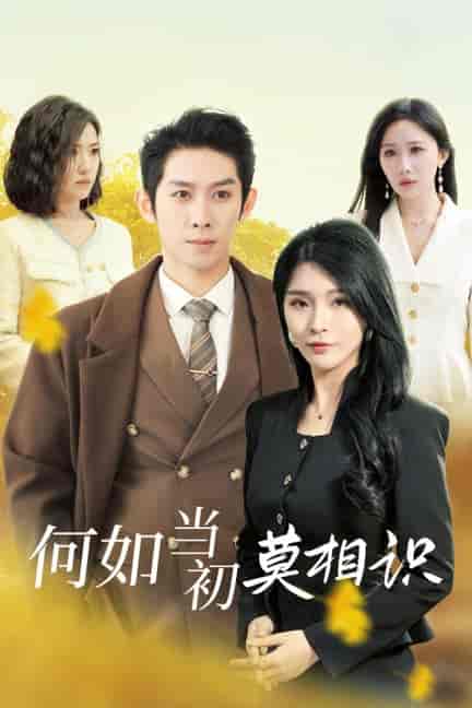 何如当初莫相识（36集全）彭羽-紫橙资源网
