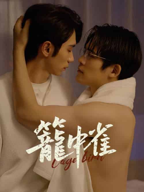 籠中雀（45集全）沈璧＆＆宋衍-紫橙资源网