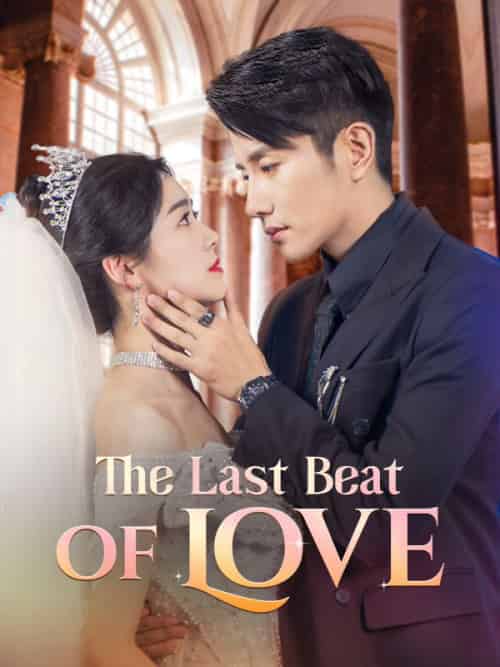 The Last Beat of Love（58集全）Steven＆Qualls＆＆Natasha＆Jenner-紫橙资源网