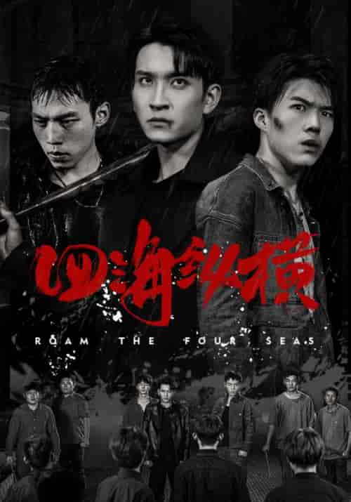 四海纵横（60集全）林耀杰＆阮佳蕊-紫橙资源网