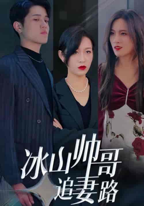 冰山帅哥追妻路（100集全）冷夜＆顾清欢-紫橙资源网