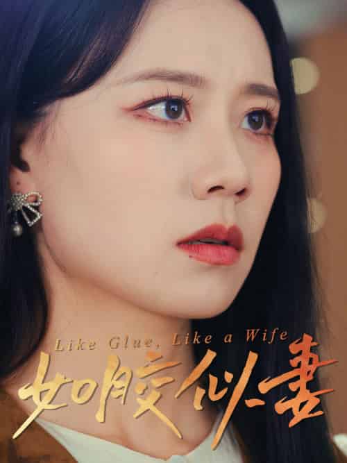 如胶似妻（50集）王艳秋-紫橙资源网