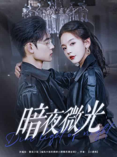 暗夜微光（86集）张力壬＆徐波滴-紫橙资源网