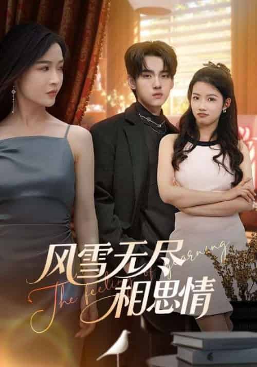 风雪无尽相思情（61集）李珊＆詹琸-紫橙资源网