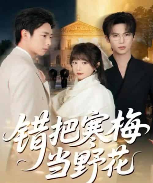 错把寒梅当野花（60集全）于颢鑫＆王籽霖-紫橙资源网