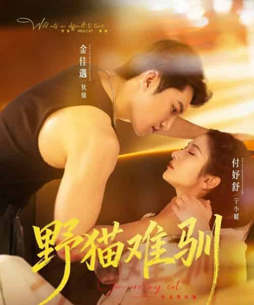 野猫难驯（73集全）金佳遇＆付妤舒-紫橙资源网