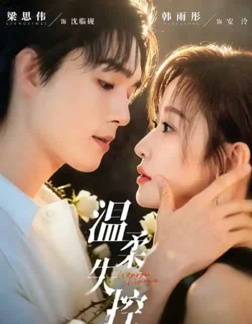 温柔失控（85集全）梁思伟＆韩雨彤-紫橙资源网