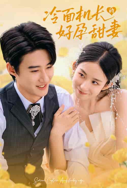 冷面机长的好孕甜妻（78集全）赵振栋＆李悦暄-紫橙资源网