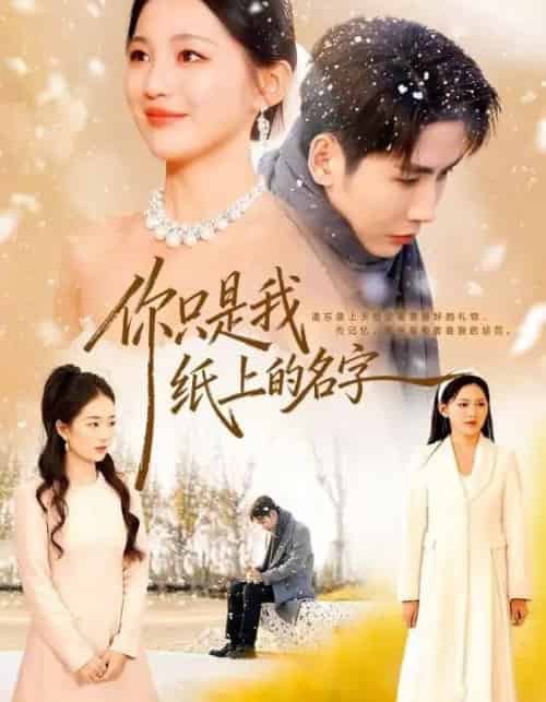 你只是我纸上的名字（68集全）刘博洋＆崔秀子-紫橙资源网