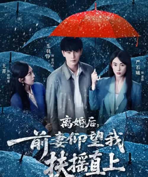 离婚后,前妻仰望我扶摇直上(84集全)王羽铮&严若曦-紫橙资源网
