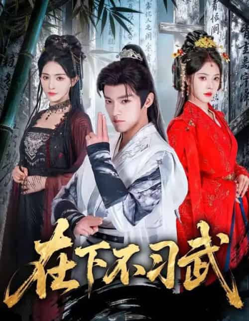 在下不习武(60集全)王珞嘉&苏西-紫橙资源网