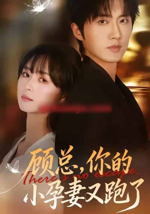 顾总，你的小孕妻又跑了（47集全）马薇＆顾天逸-紫橙资源网