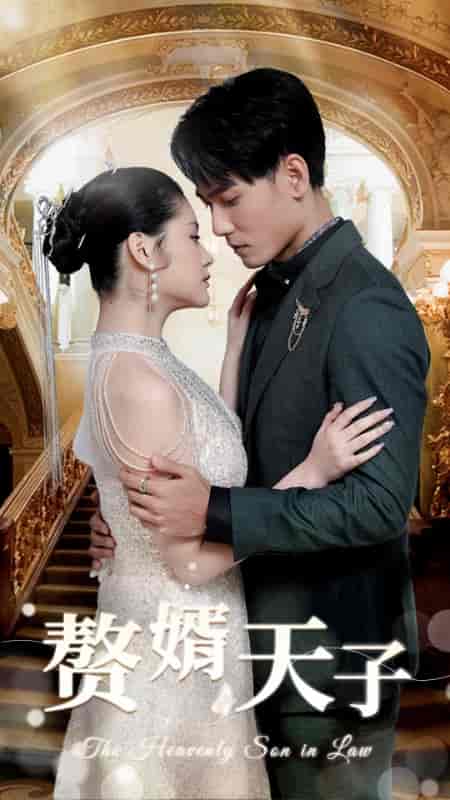 赘婿天子（91集）-紫橙资源网