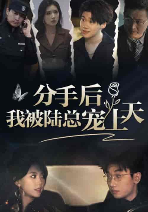 分手后，我被陆总宠上天（76集）马乐婕-紫橙资源网