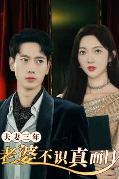 夫妻三年老婆不识真面目&苍穹之上(83集)-紫橙资源网
