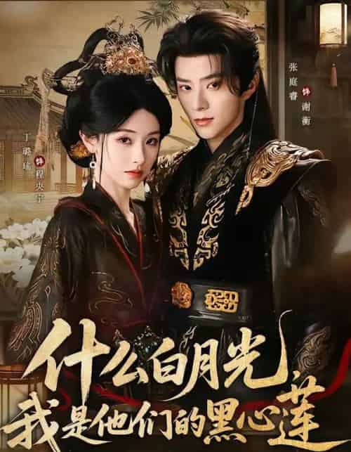 什么白月光，我是他们的黑心莲（79集全）张庭睿＆丁璐瑶-紫橙资源网