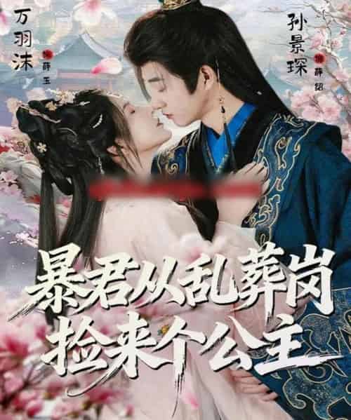 暴君从乱葬岗捡来个公主（61集全）万羽沫＆孙景琛-紫橙资源网