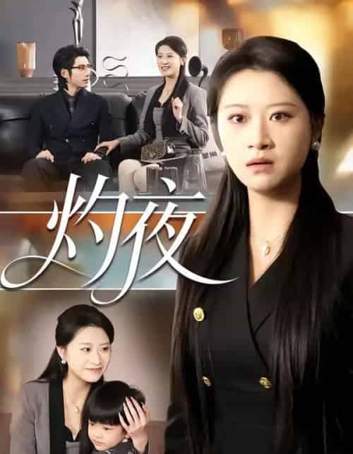 灼夜（78集全）程娜＆郝睿杰 - 紫橙短剧