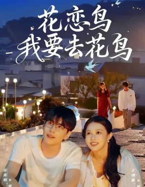 花恋鸟我要去花鸟（60集全）安奕明＆王翊嘉-紫橙资源网