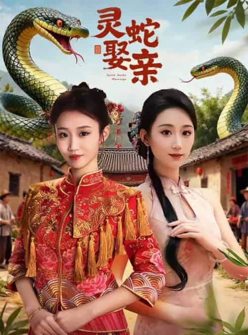 灵蛇娶亲＆灵蛇新娘（51集全）张炘童＆林仟芊-紫橙资源网