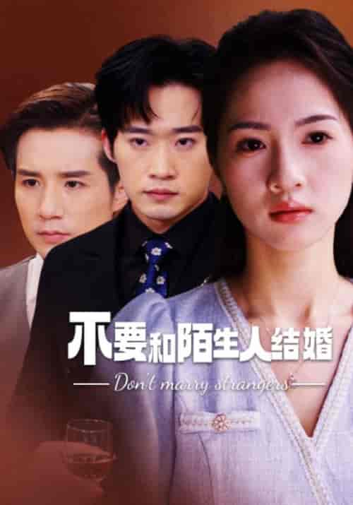 不要和陌生人结婚(90集)-紫橙资源网