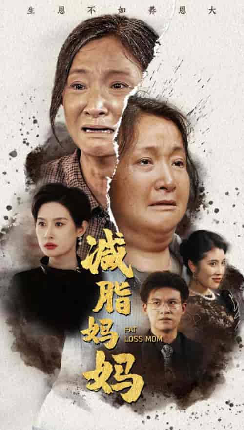 减脂妈妈(71集)-紫橙资源网