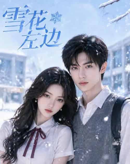 雪花左边(30集全)AI-紫橙资源网