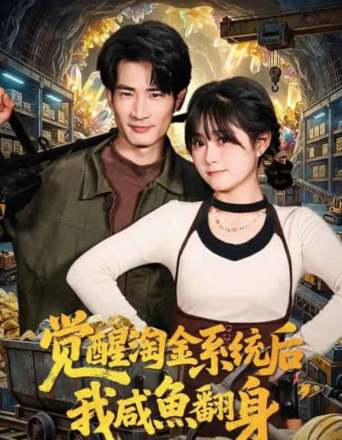 觉醒淘金系统后，我咸鱼翻身（70集全）何俊雄＆何宇涵-紫橙资源网