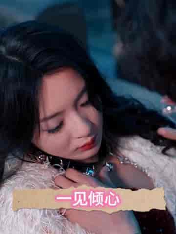 一见倾心（84集）-紫橙资源网