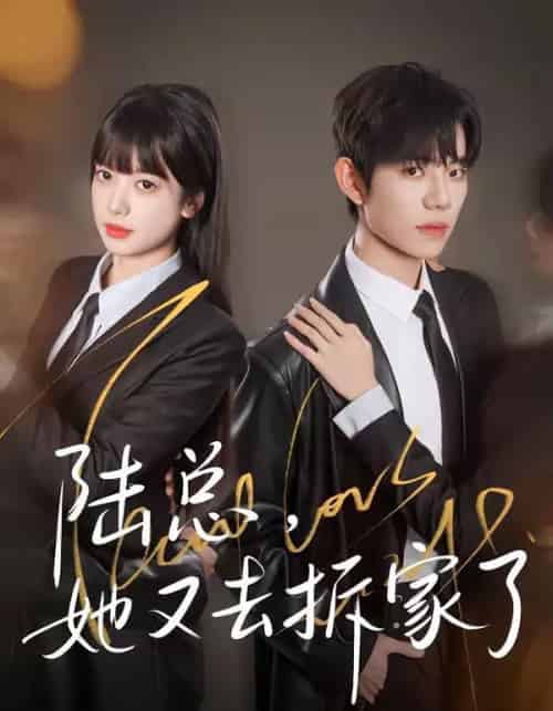 陆总，她又去拆家了（80集全）白贯羽＆吴飞雪-紫橙资源网