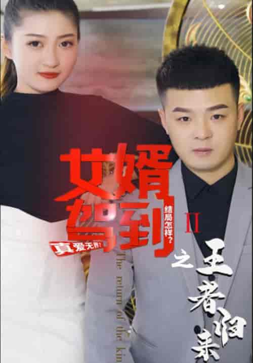 女婿驾到之王者归来（40集全）李佳越＆杨琦-紫橙资源网