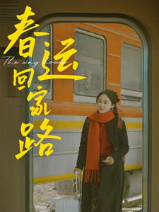 春运回家路（32集）-紫橙资源网