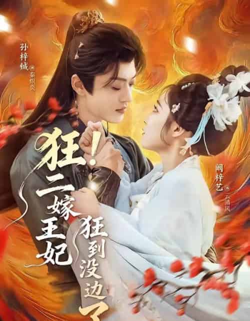 狂！二嫁王妃狂到没边了（72集全）孙梓铖＆阚梓艺-紫橙资源网