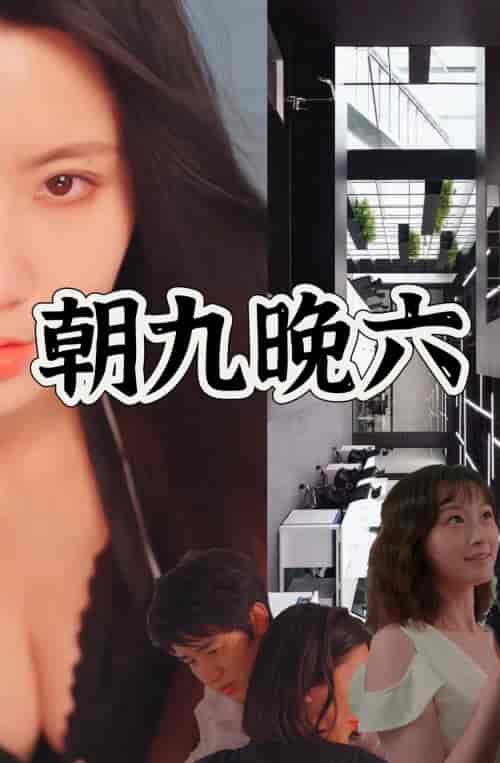 朝九晚六(67集)-紫橙资源网