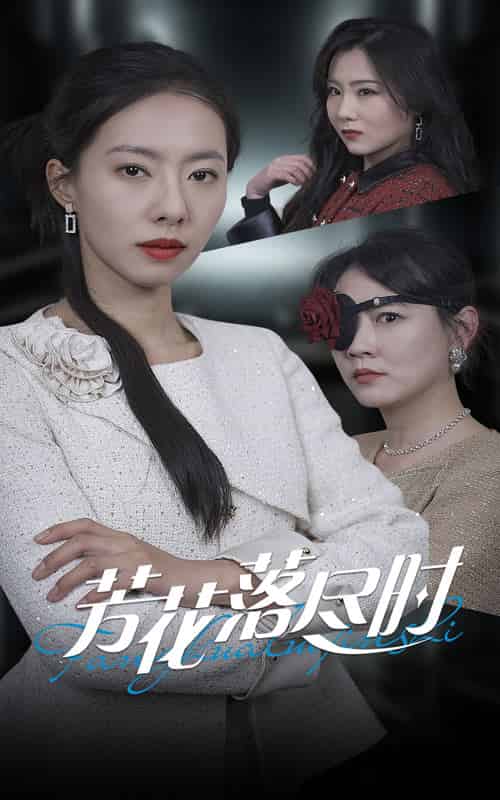 芳花落尽时（30集全）-紫橙资源网
