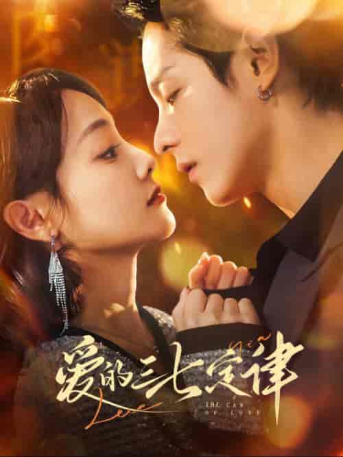 爱的三七定律&爱意延迟(76集全)段平&顾佳菡-紫橙资源网