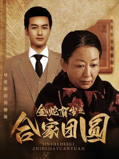 金蛇贺岁之合家团圆（30集全）-紫橙资源网