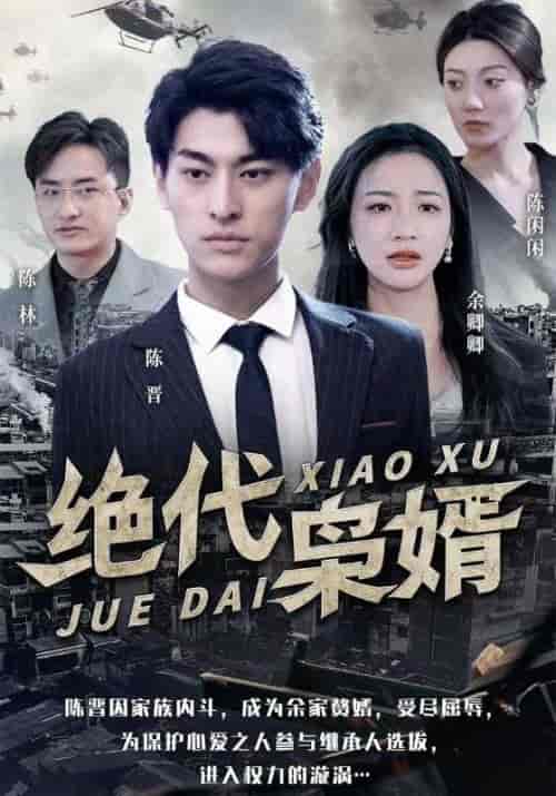 绝代枭婿（100集全）陈晋＆余卿卿-紫橙资源网