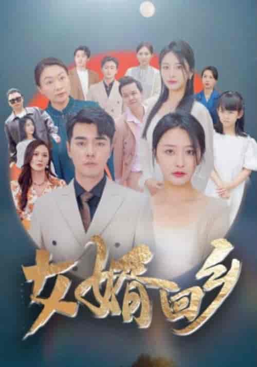 女婿回乡(120集)-紫橙资源网