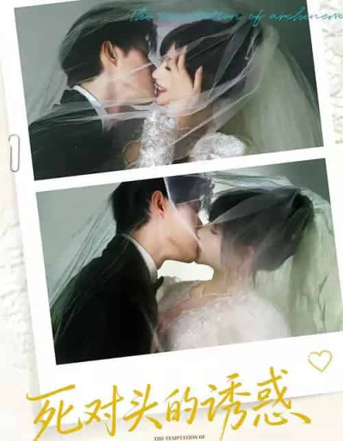 死对头的诱惑(77集全)谢熠柯&刘浔-紫橙资源网