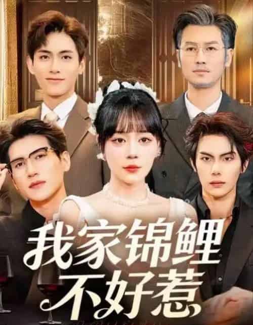 我家锦鲤不好惹（75集全）孙蔚琳＆马义炎-紫橙资源网