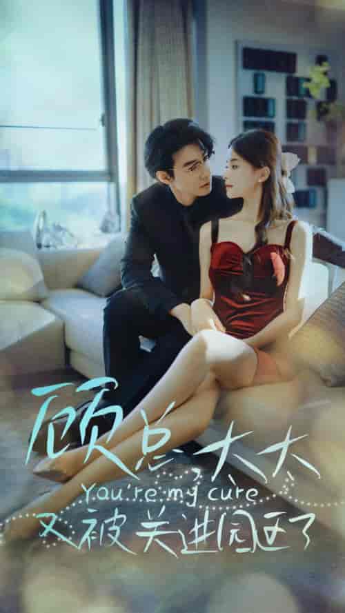 顾总，太太又被关进园区了（73集）-紫橙资源网