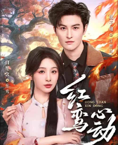 红鸾心动(60集全)魏子翔&白旭含-紫橙资源网